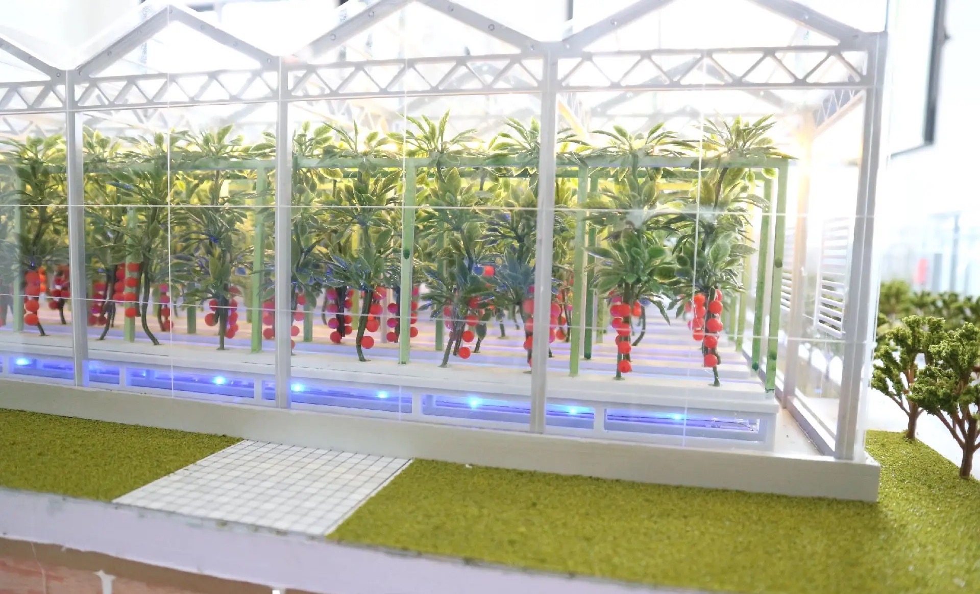 农业沙盘模型 (8).jpg