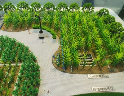 農(nóng)業(yè)場景模擬沙盤模型源頭廠家制作