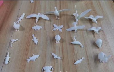 微缩白素动物模型