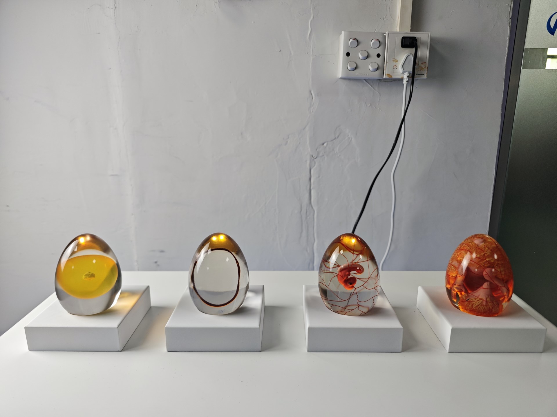 Egg hatching demonstration process model
