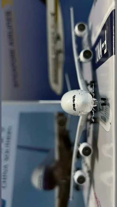 Exhibition hall simulation aircraft model